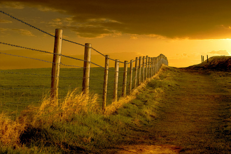Into the sunset, West Bay, Dorset (4289)
