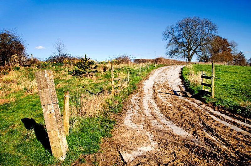 Farm Lane, Martock