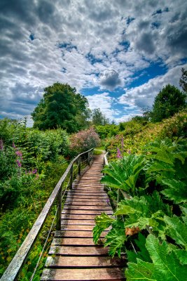 Little bridge, Furzey Gardens