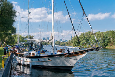 Stuck fast! Toronto Islands