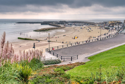 Rushes and harbour, Lyme Regis