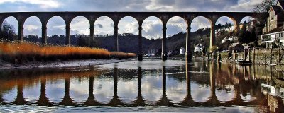 Calstock Viaduct, Devon (9621)