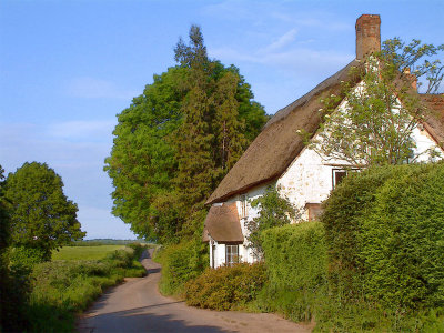 Thatched cottage, Wigborough (2623)