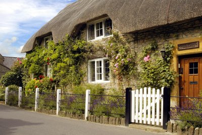 Cottage delight, East Coker (4344)