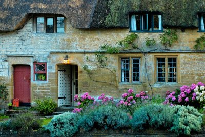 Ham stone and hydrangeas (3720)