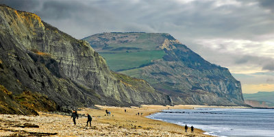 Towards Golden Cap, Seatown, Dorset (2831)