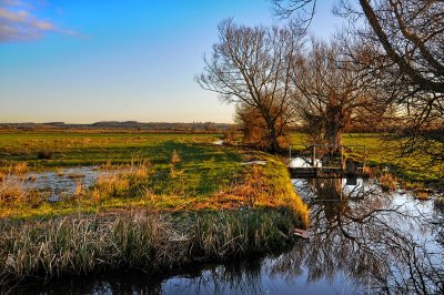 Stream and bridge, near Muchelney (1566)