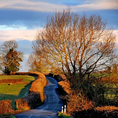 The road to Muchelney (1551)