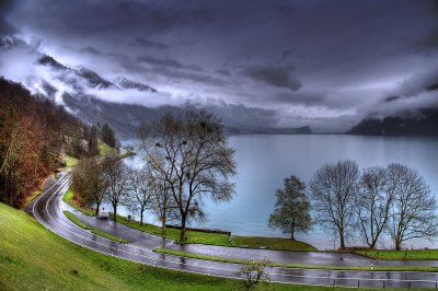 Road, trees and Brienzersee