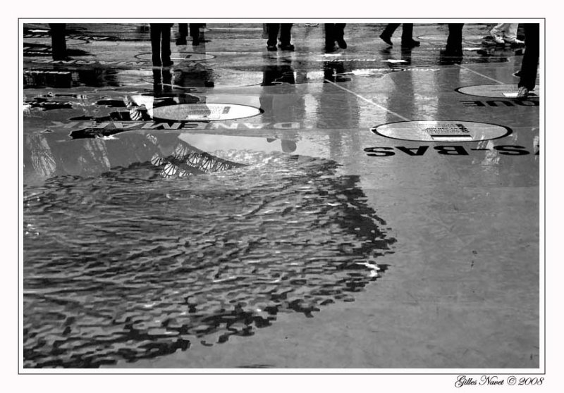 03/11/08 - Le grand marcher
