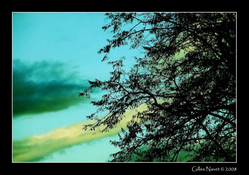 22/11/08 - Moment of peace
