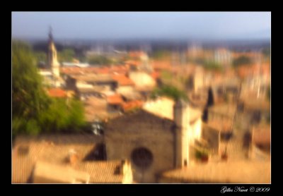 Les toits d'Avignon