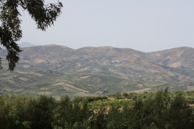 Crete Landscape