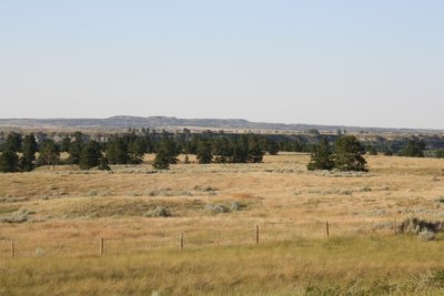 Montana Plains