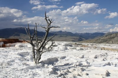 Sulfur Springs 1