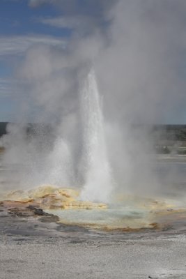 Sulfur Springs 5