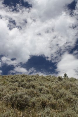Montana Wilderness