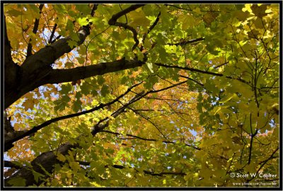 Fall color 2008 - Interstate State Park (Minnesota side)