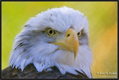 Images from the Minnesota Zoo