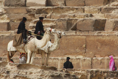 Camel Police at Pyramids