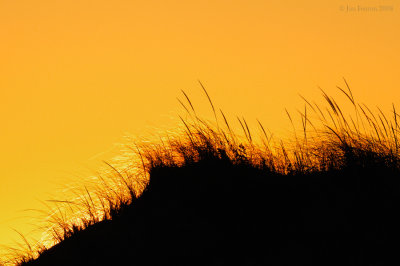 _NW81864 Dunes at Sunset