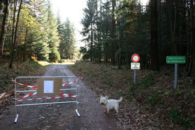 Message pour Jean-Louis - route Tommelsbach interdite aux piétons et aux véhicules