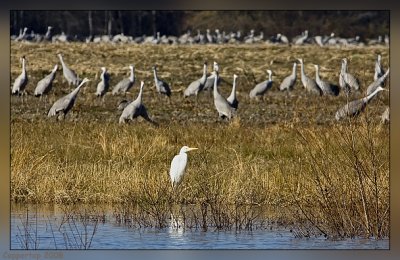 _MG_7546.jpg