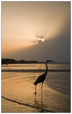 _WP44906 copy.jpg