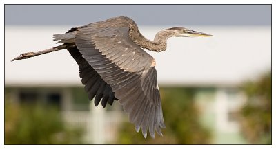 _WP44958.jpg