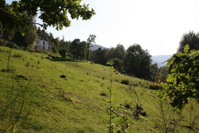 Descent from Croix des Missions to Cornimont IMG_4016.jpg