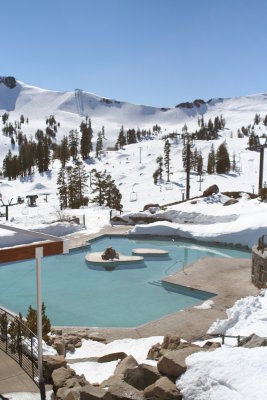 take a dip anyone?