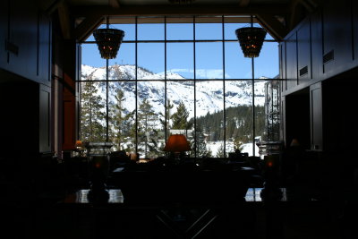 De-Vine view from lobby