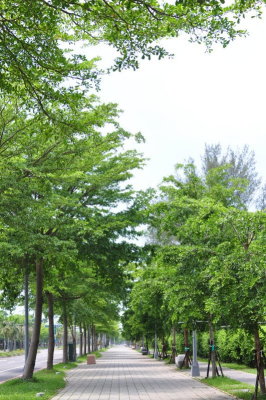 DSC_0206.JPG