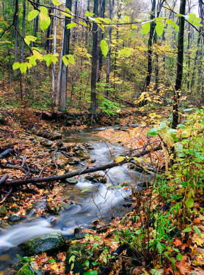 Cold autumn day Linn Run State Park