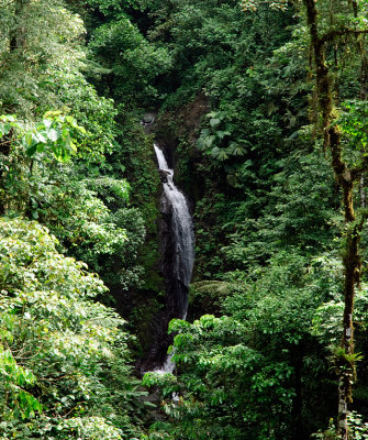 Waterfall - Puentes Colgantes Cloudforest