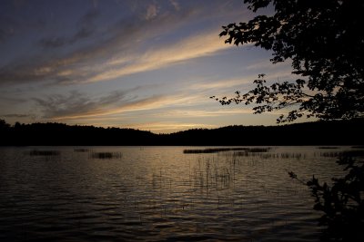 Sunset on Brown Tract Pond