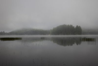 Misty morning on Brown Tract Pond