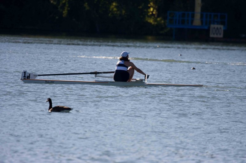 Regatta-4800.jpg