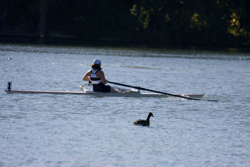 Regatta-4801.jpg