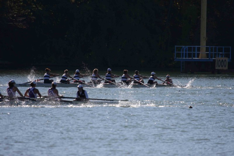 Regatta-4965.jpg