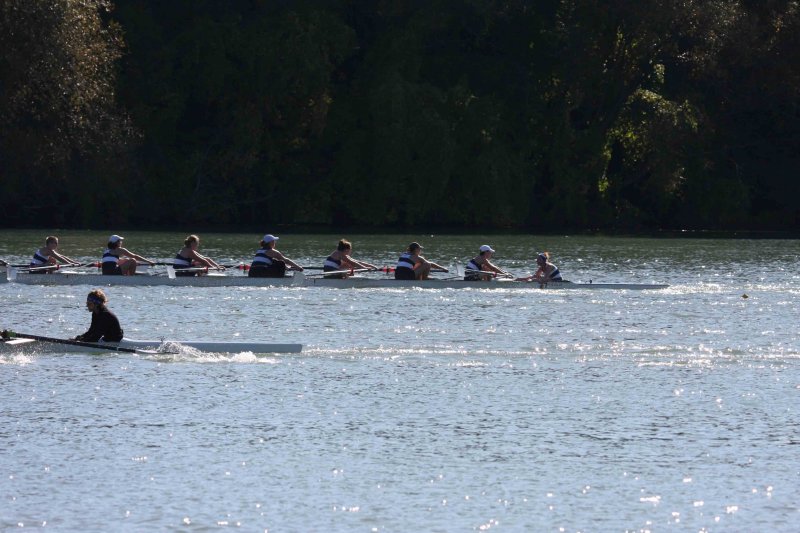 Regatta-5041.jpg