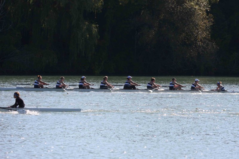 Regatta-5051.jpg