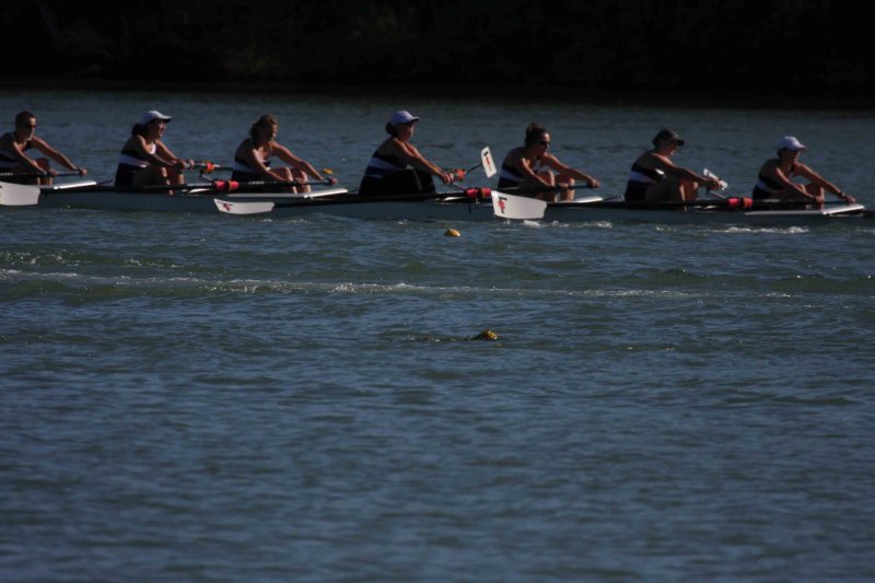 Regatta-5103.jpg