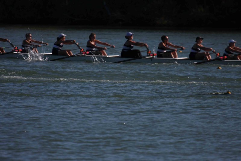 Regatta-5107.jpg