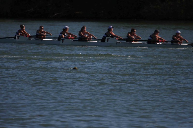Regatta-5125.jpg