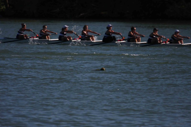 Regatta-5127.jpg