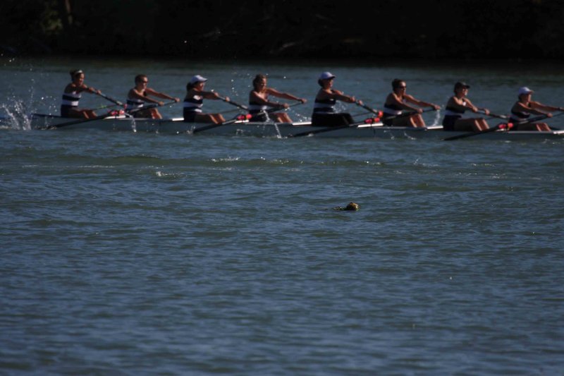 Regatta-5128.jpg
