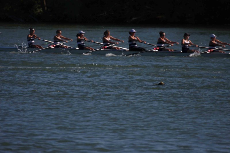Regatta-5129.jpg