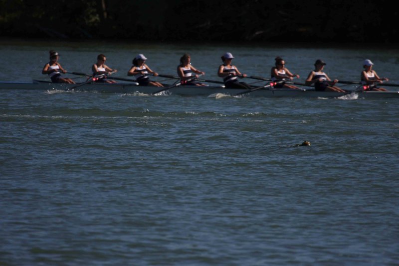 Regatta-5130.jpg
