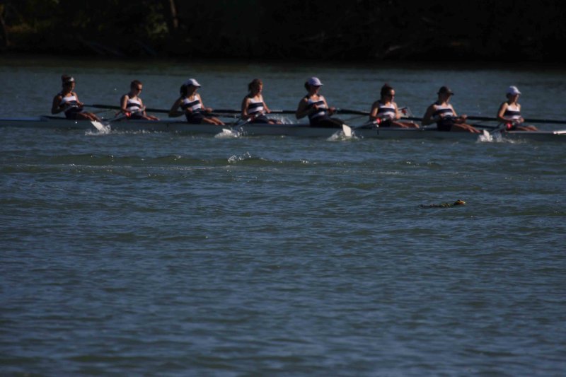 Regatta-5131.jpg